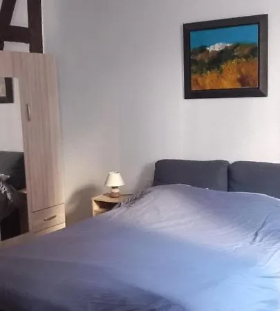 Daire Spacious Colmar